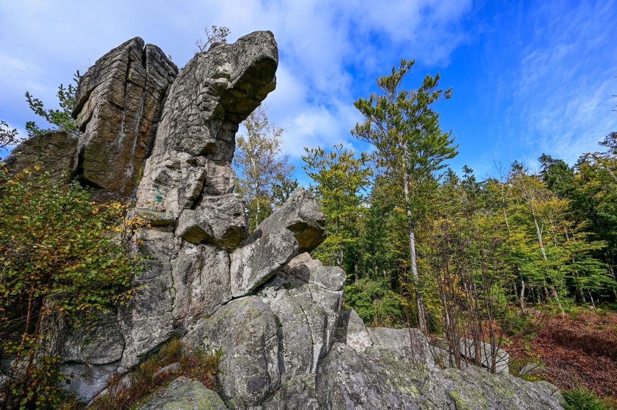 Natur pur: Steinwald