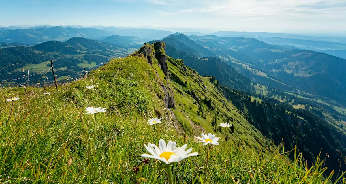 Oberstaufen - Umfassende Naturerlebnis-Angebote