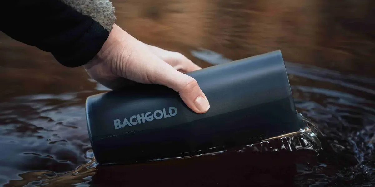 Bachgold: Adventure and Responsibility