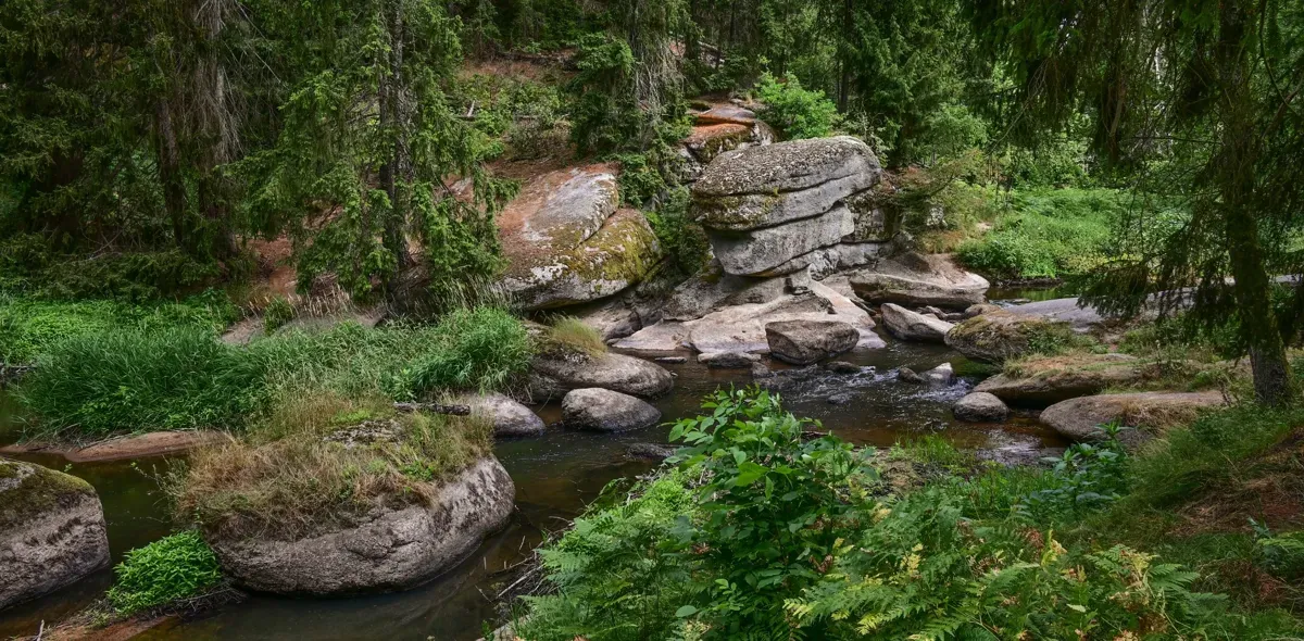 Entlang des traumhaften Ufers der Waldnaab.