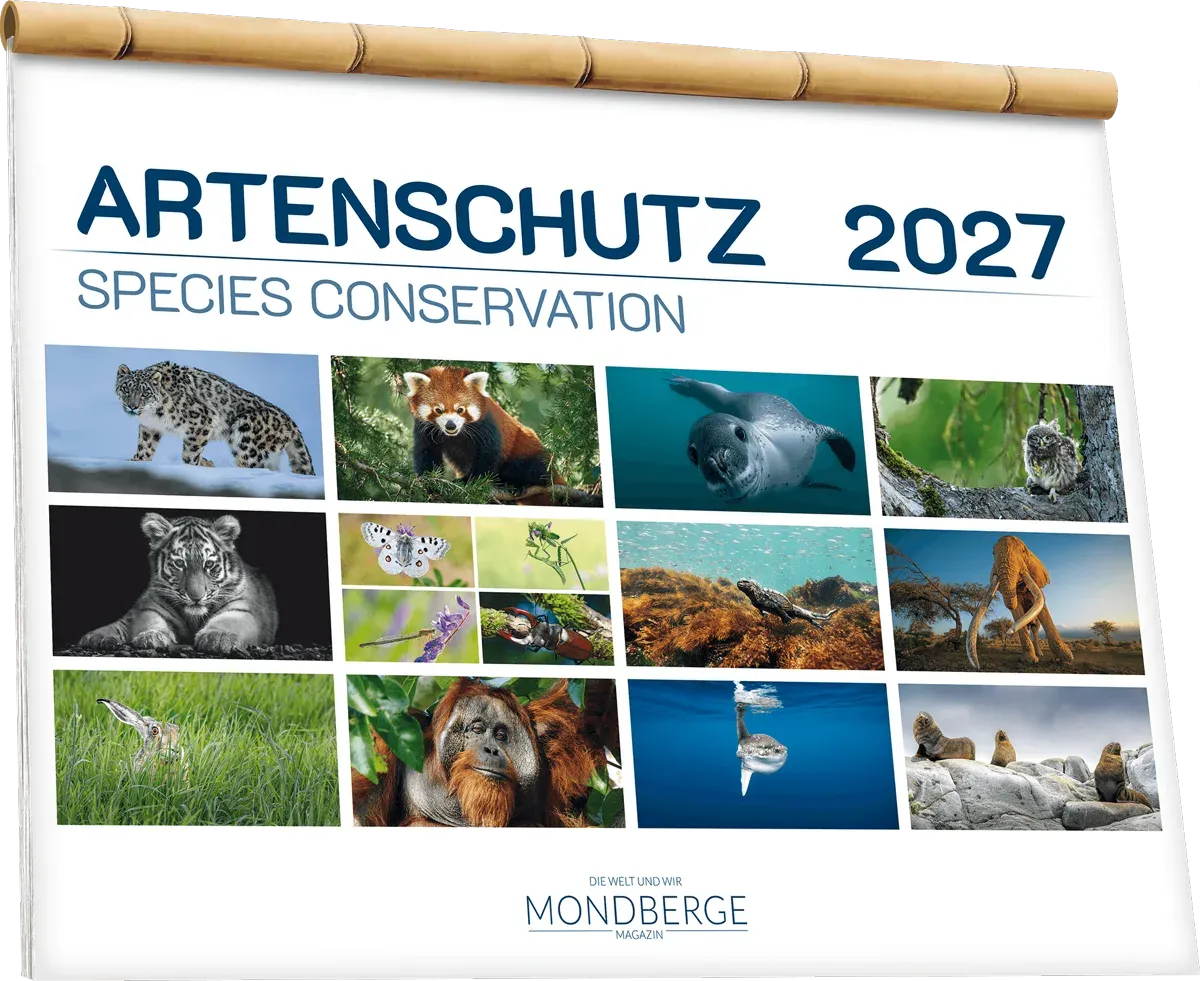 Kalender 2027