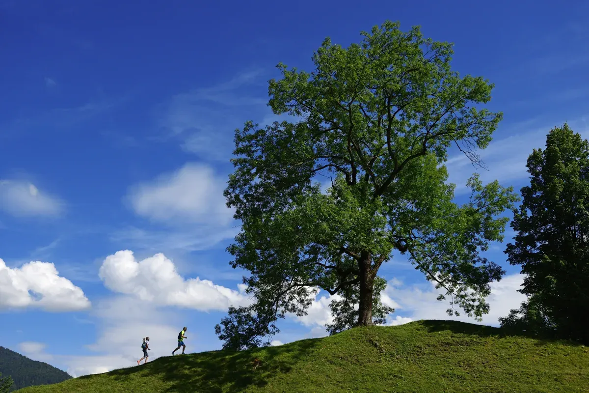 Naturgenuss beim Wandern in herrlichen Landschaften