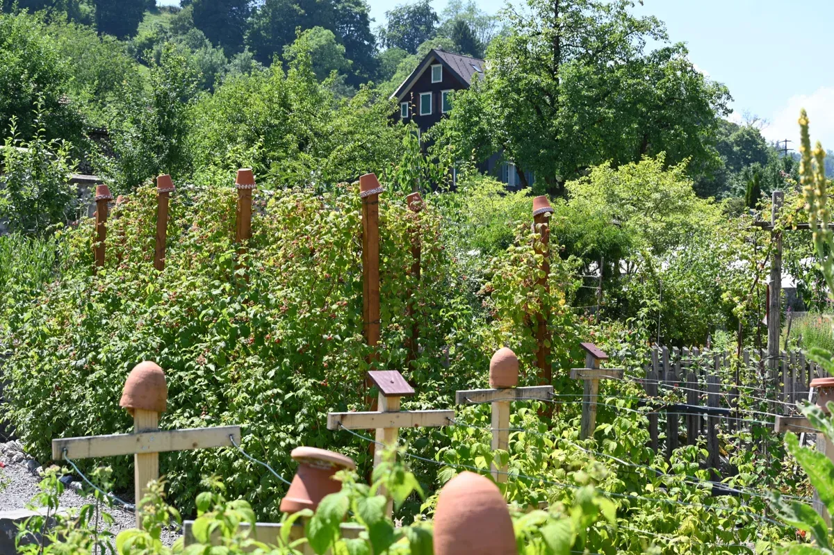 In der „Essbaren Landschaft“ ist Naschen ausdrücklich erlaubt, genussreife Früchte werden durch Schilder gekennzeichnet