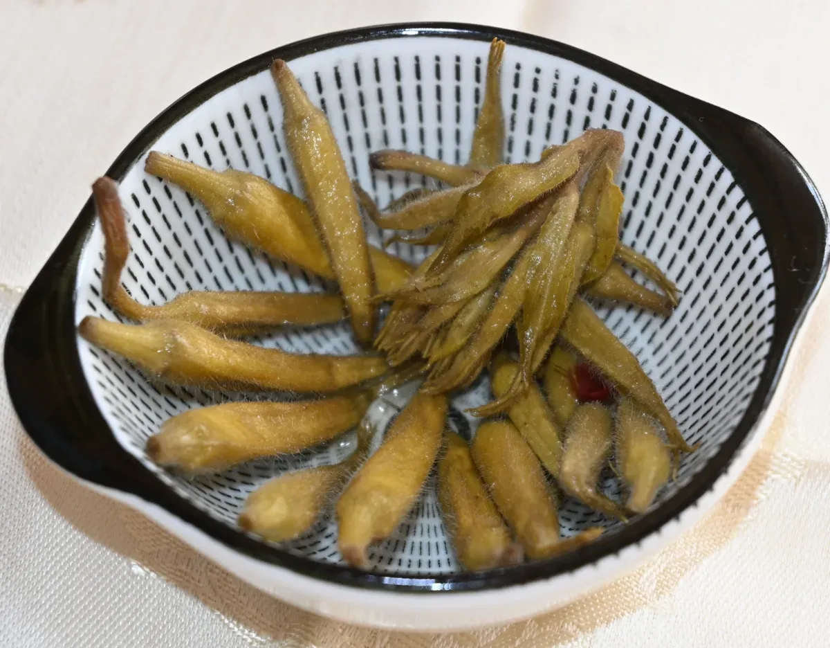 Im Essigsud eingelegte Knospen der Nachtkerze sind ein feiner Snack