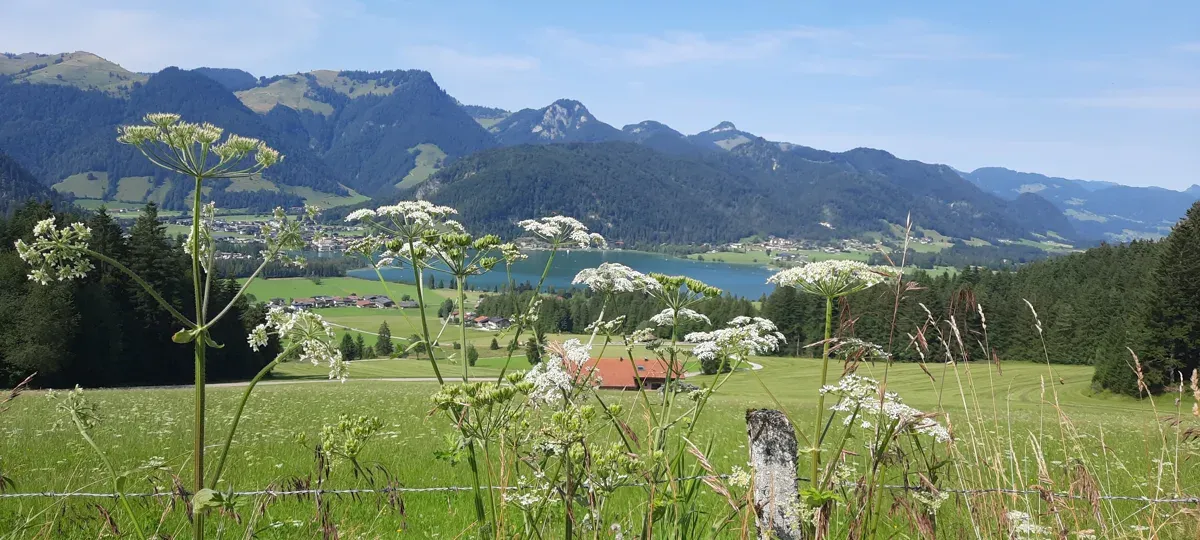 Der Blick von „gegenüber“ zu den Chiemgauer Alpen – Geigelstein inklusive
